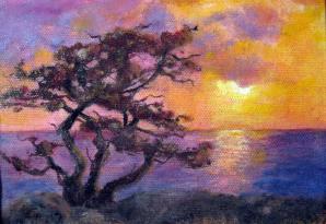 Laguna Sunset